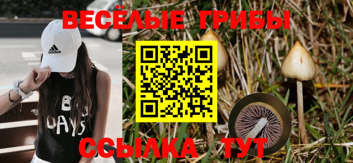 Белореченск  Галлюциногенные грибы MAGIC MUSHROOMS  Вход с VPN 